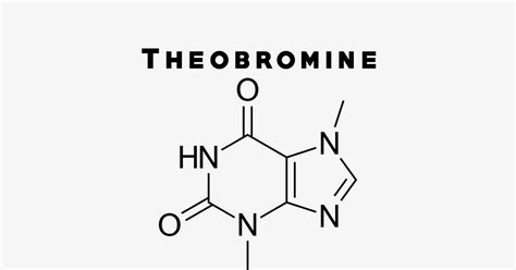 theobrobine|theobrobine .